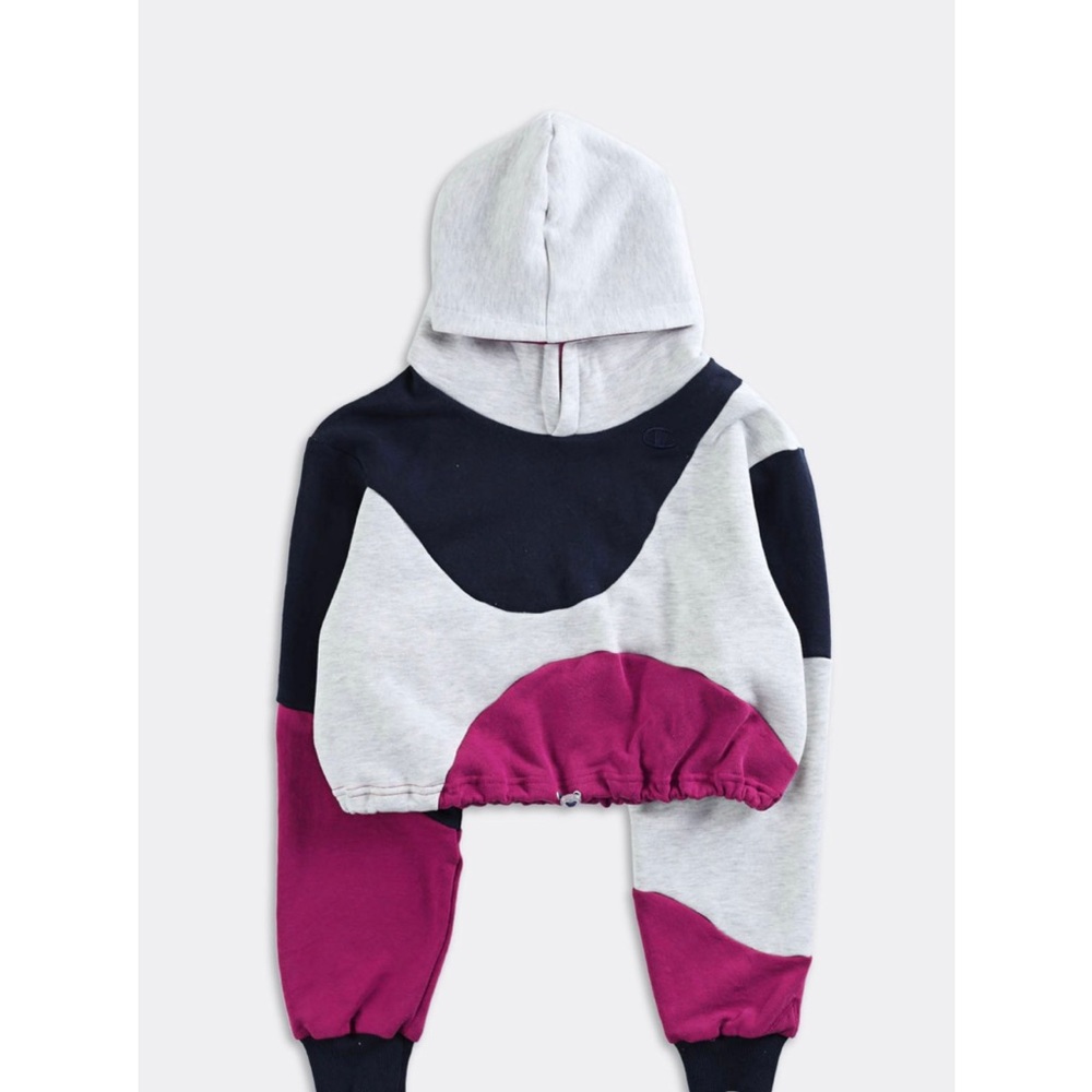 Urban Outfitters Frankie Rework Champion Wave Crop Sweatshirt